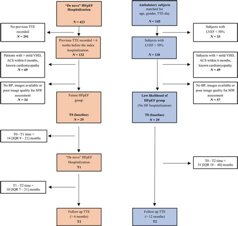 lvef blood flow chart.